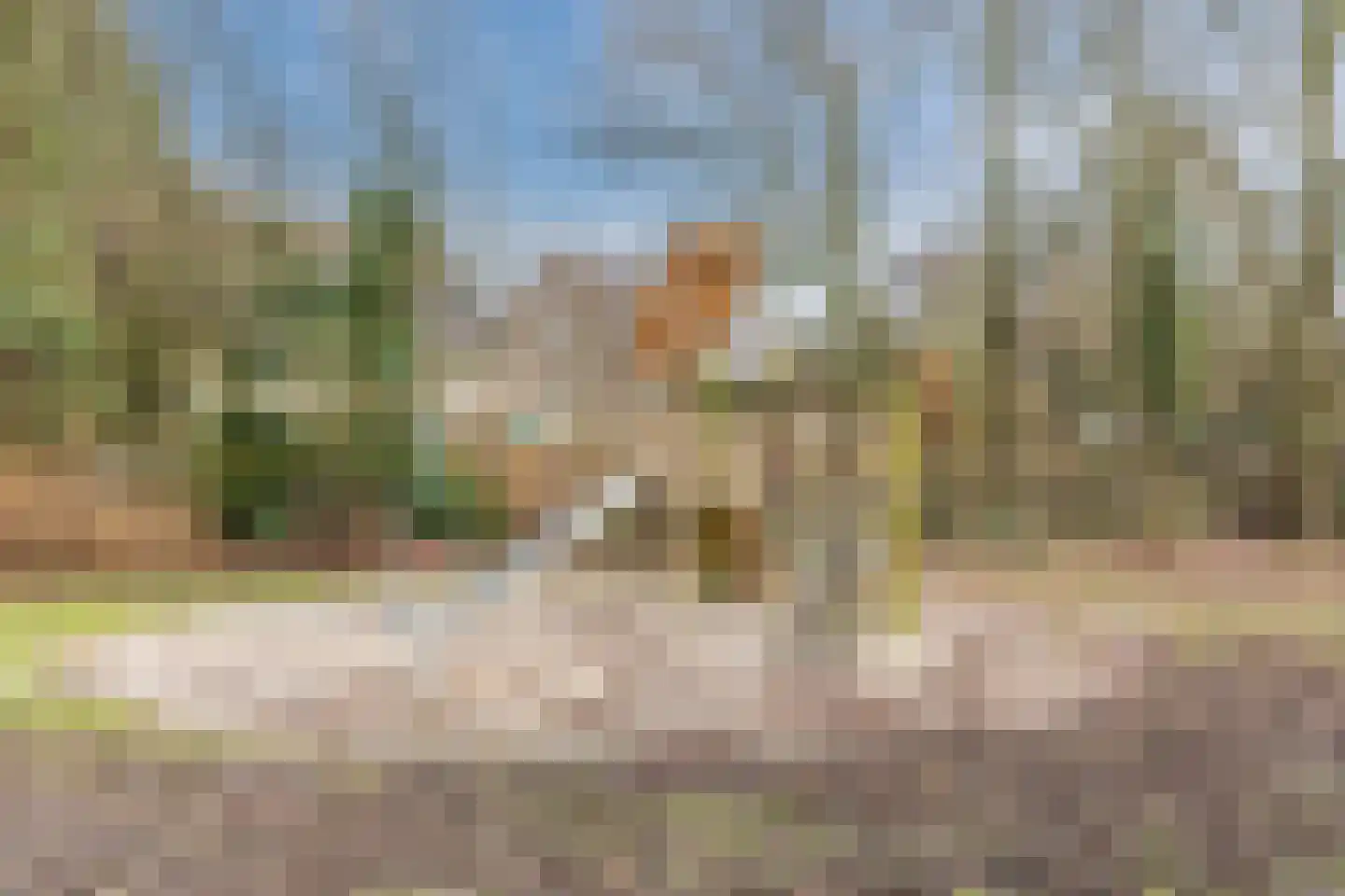 Schaapsloopven 35 Eindhoven thumbnail 46