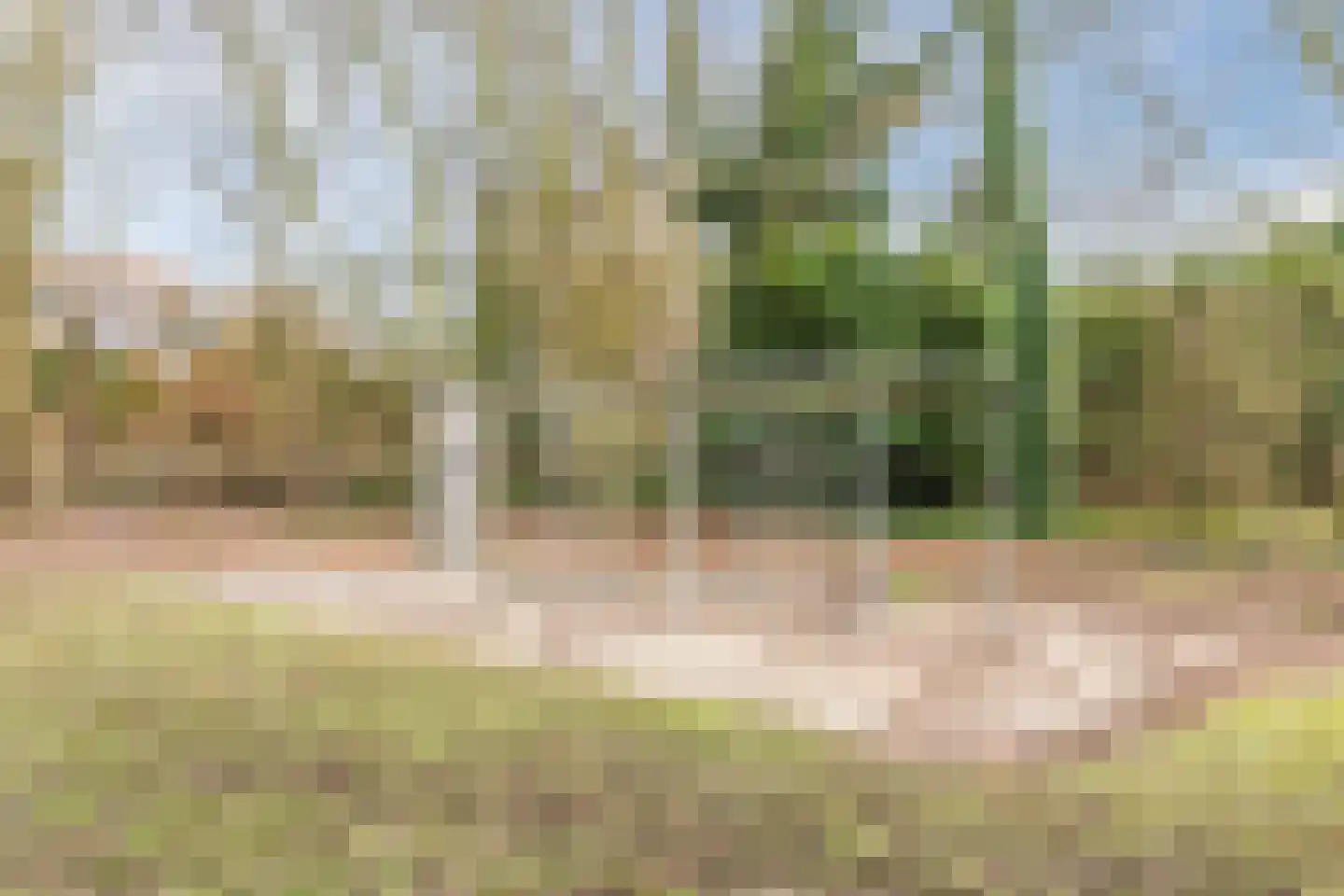Schaapsloopven 35 Eindhoven thumbnail 47