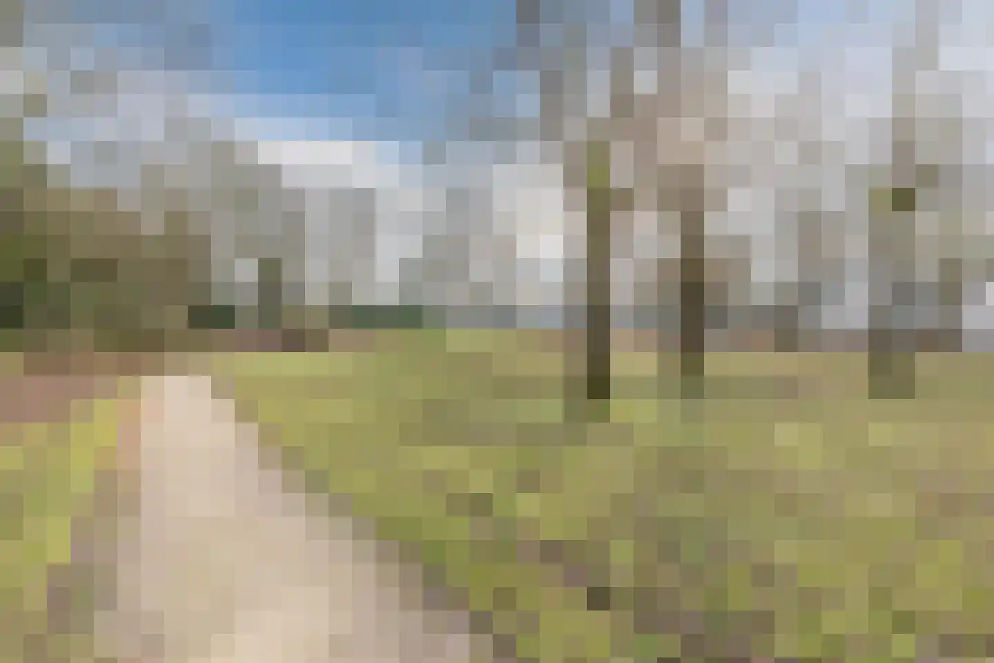 Schaapsloopven 35 Eindhoven thumbnail 48