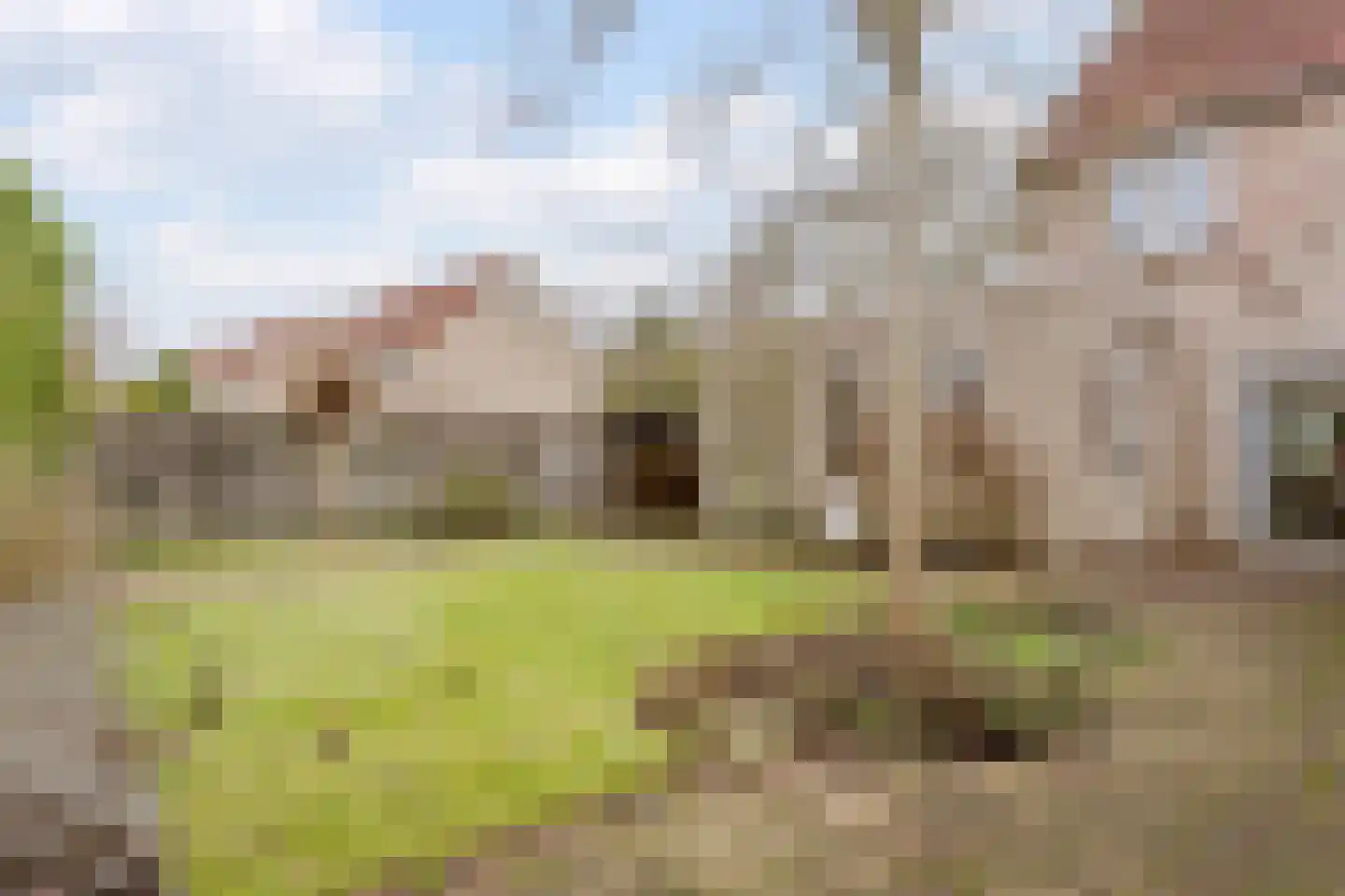 Schaapsloopven 39 Eindhoven thumbnail 29