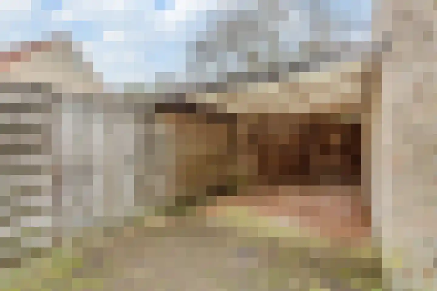 Schaapsloopven 39 Eindhoven thumbnail 32