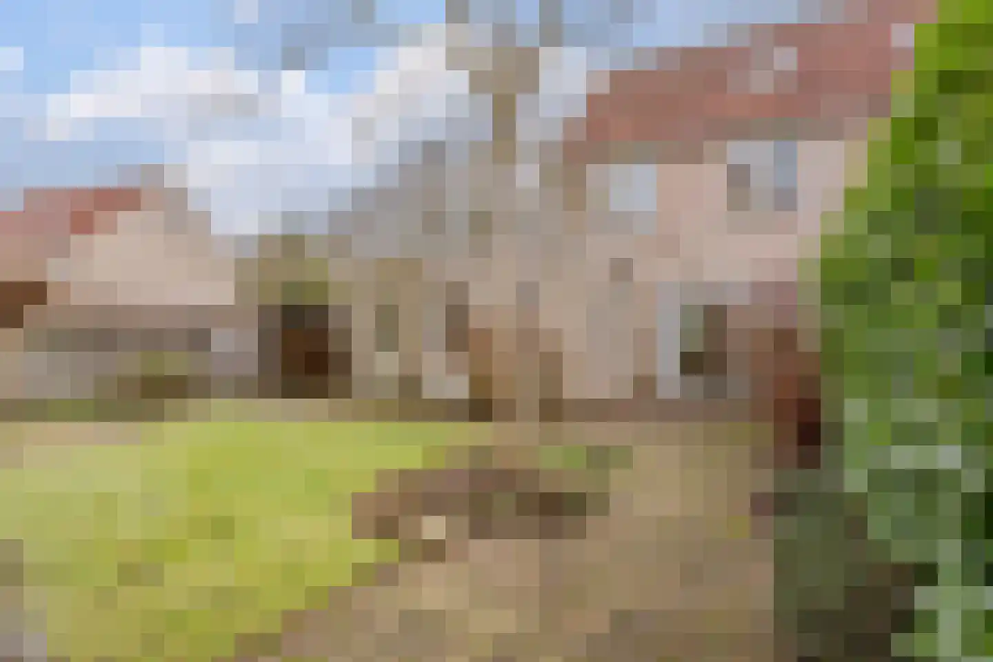 Schaapsloopven 39 Eindhoven thumbnail 38