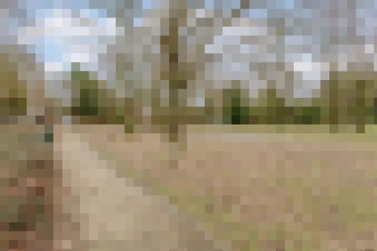 Schaapsloopven 39 Eindhoven thumbnail 42