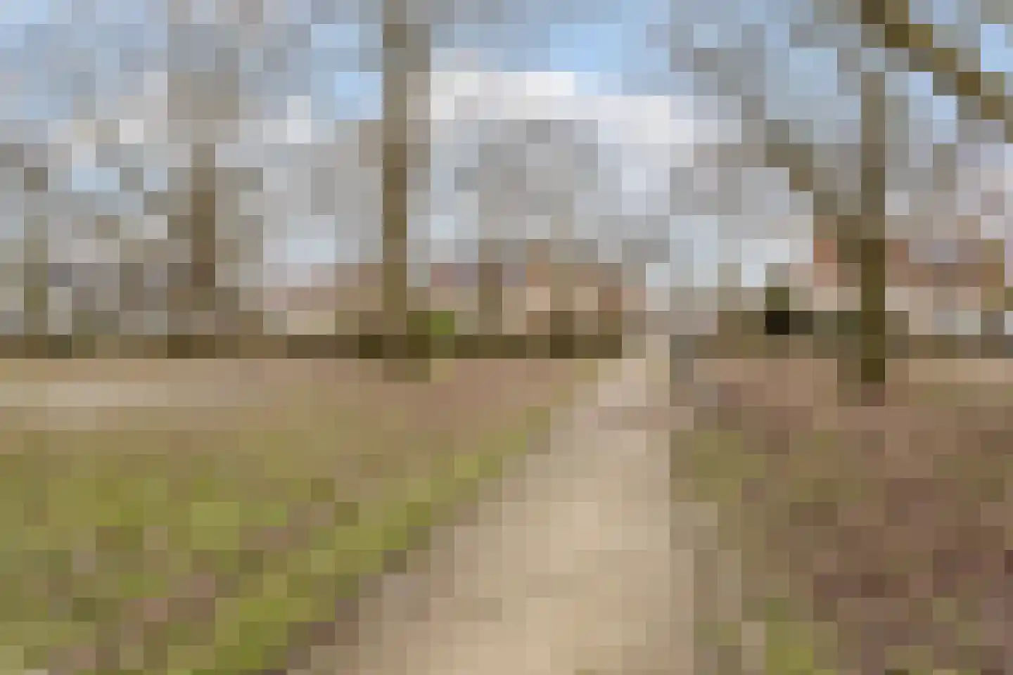 Schaapsloopven 39 Eindhoven thumbnail 43
