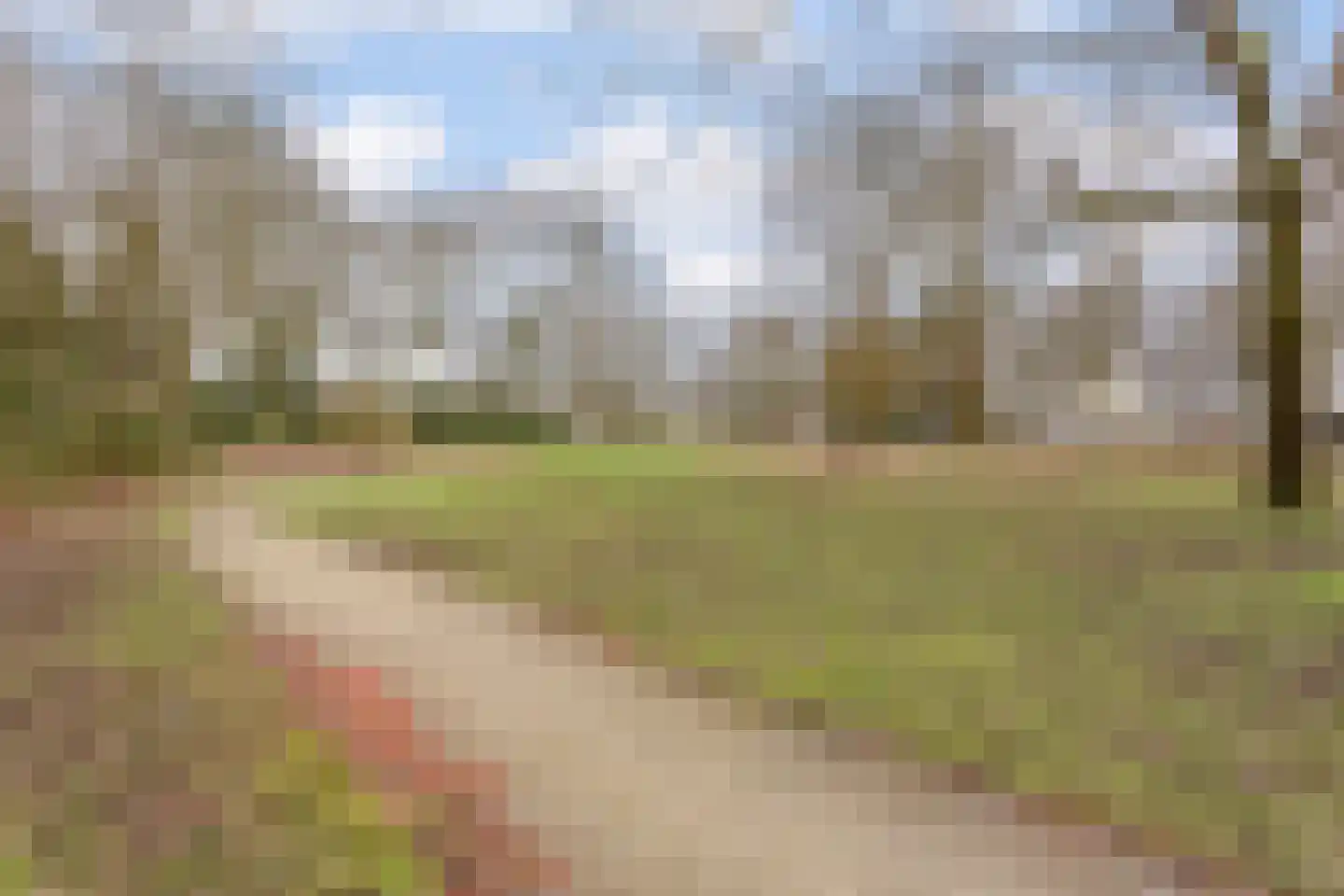 Schaapsloopven 39 Eindhoven thumbnail 44