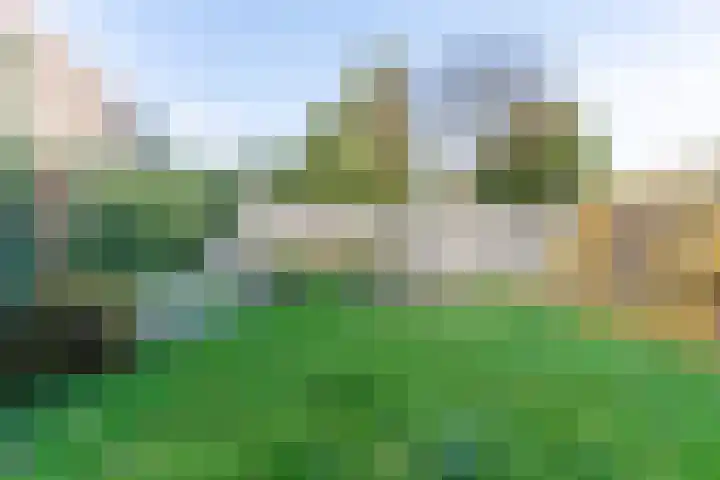 Schaapsloopven 43 Eindhoven thumbnail 31