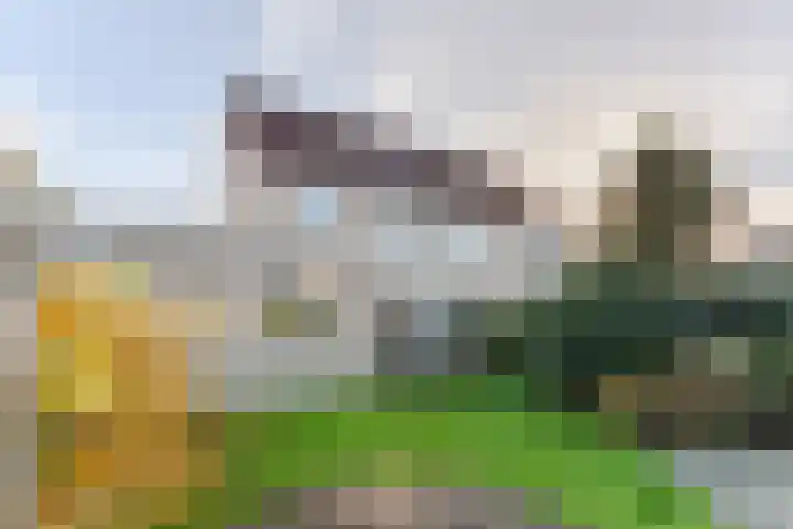 Schaapsloopven 43 Eindhoven thumbnail 33