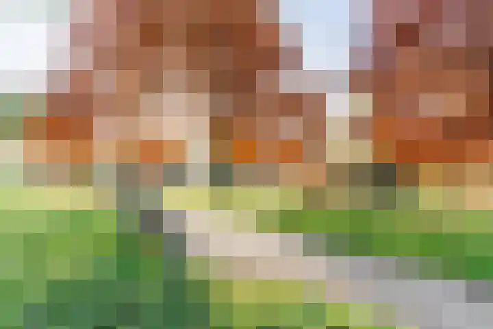 Schaapsloopven 43 Eindhoven thumbnail 34