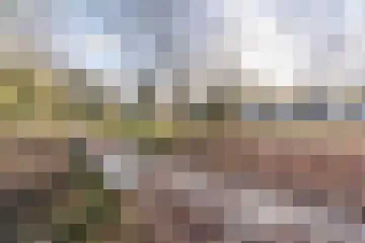 Schaapsloopven 43 Eindhoven thumbnail 35
