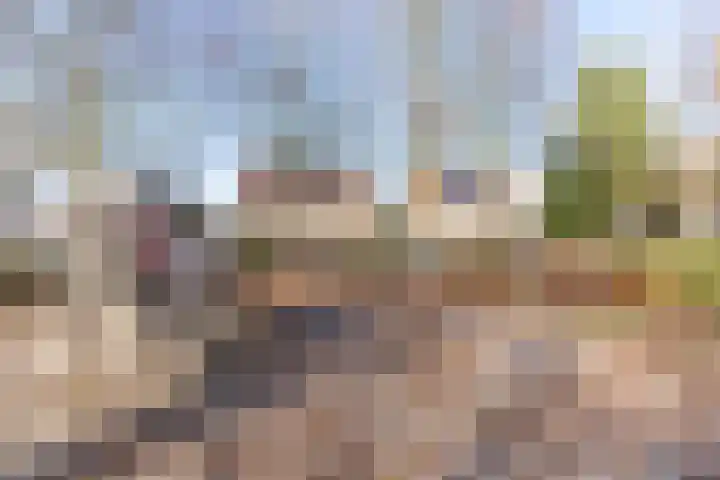 Schaapsloopven 43 Eindhoven thumbnail 36