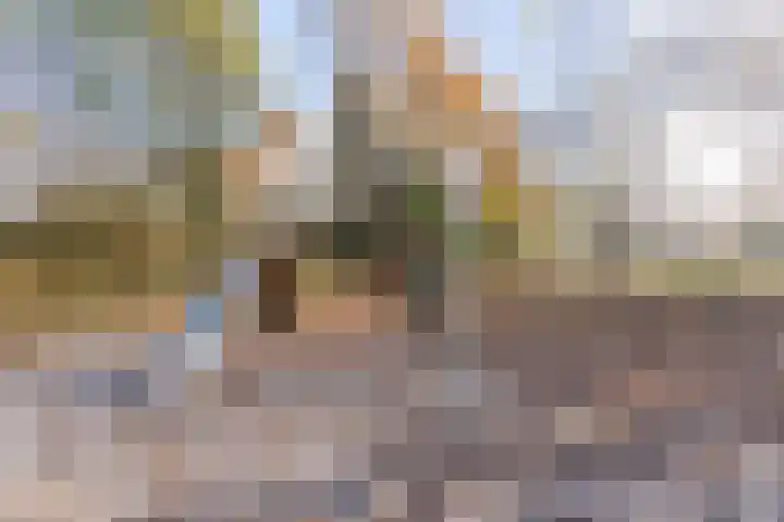 Schaapsloopven 43 Eindhoven thumbnail 37