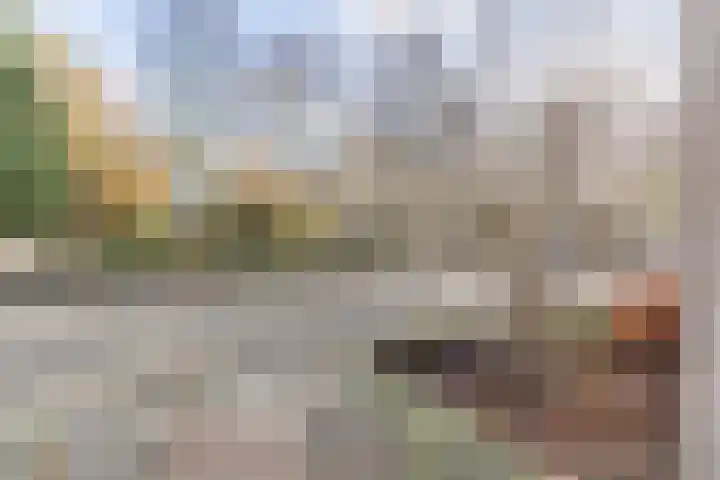 Schaapsloopven 43 Eindhoven thumbnail 6