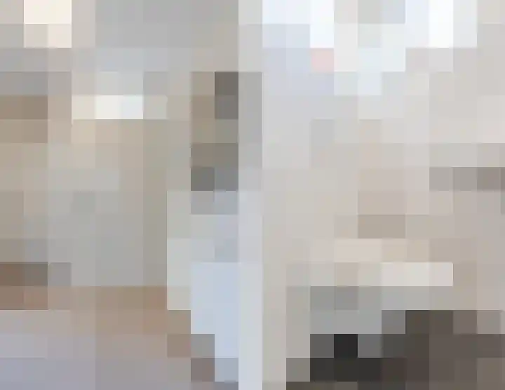 Schaapsloopven 43 Eindhoven thumbnail 8