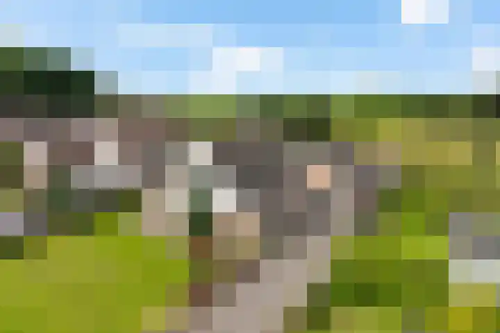 Schaapstreek 1 B Ees