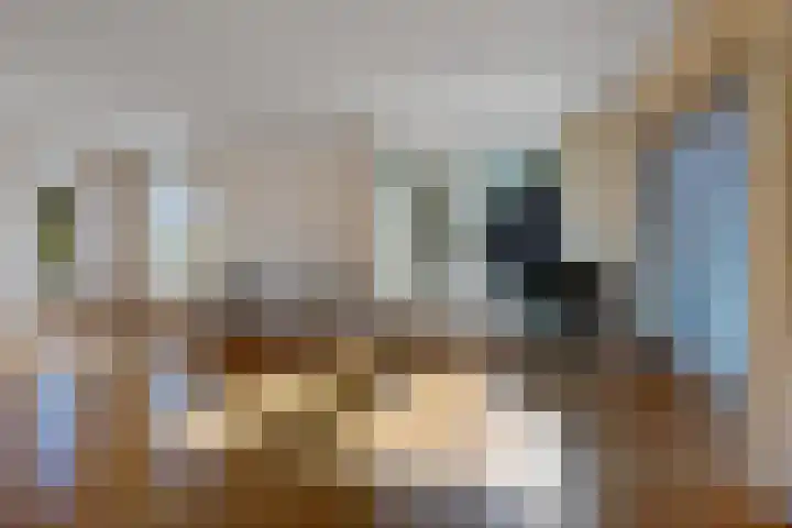 Schaapstreek 1 B Ees thumbnail 10