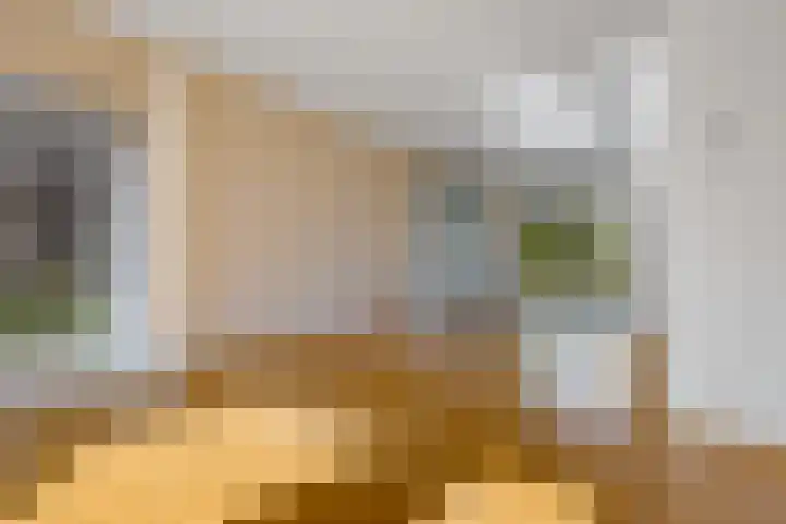 Schaapstreek 1 B Ees thumbnail 12