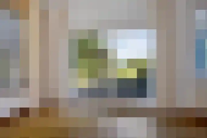 Schaapstreek 1 B Ees thumbnail 14