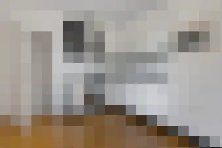 Schaapstreek 1 B Ees thumbnail 16