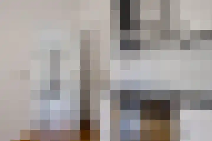 Schaapstreek 1 B Ees thumbnail 17