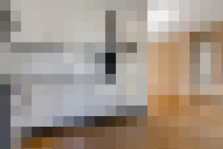 Schaapstreek 1 B Ees thumbnail 18