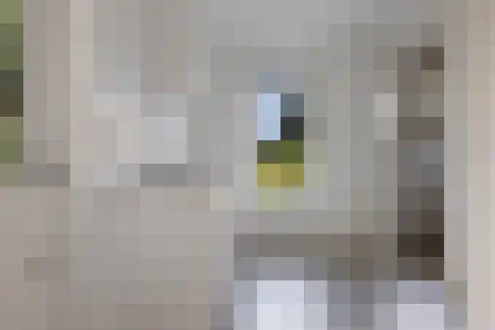 Schaapstreek 1 B Ees thumbnail 19