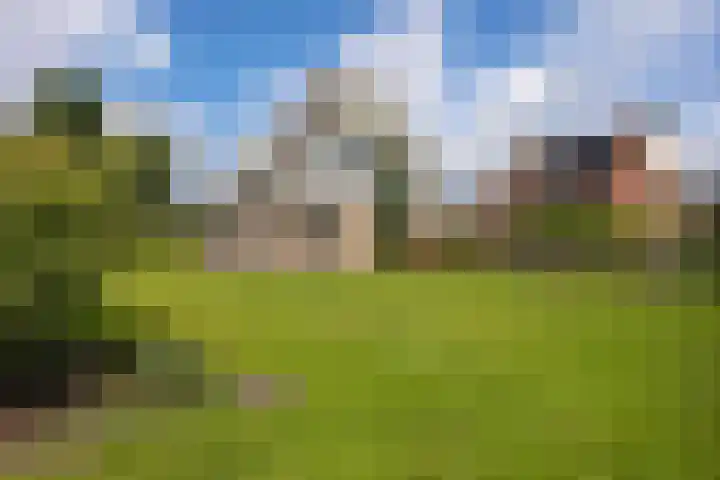 Schaapstreek 1 B Ees foto 2