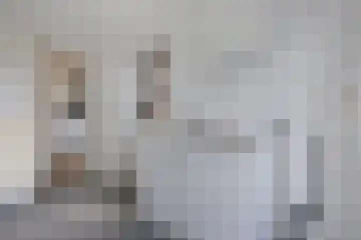 Schaapstreek 1 B Ees thumbnail 20