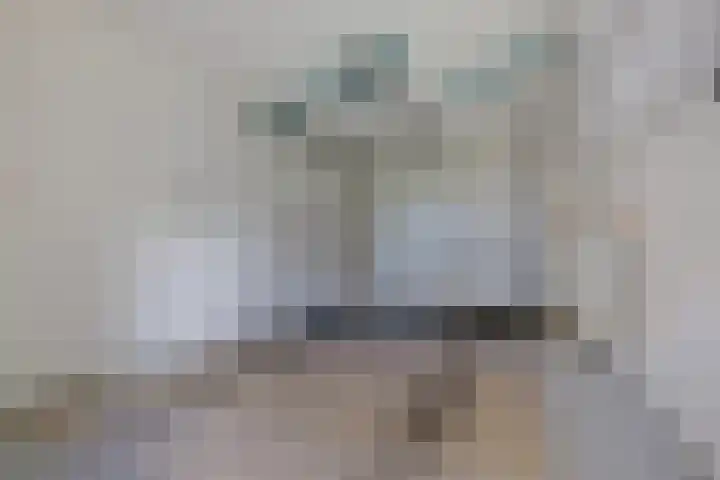 Schaapstreek 1 B Ees thumbnail 21