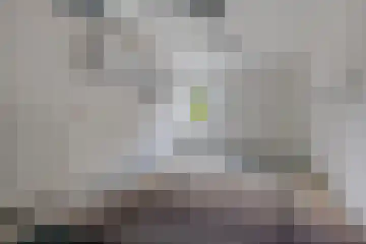 Schaapstreek 1 B Ees thumbnail 22