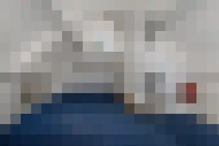 Schaapstreek 1 B Ees thumbnail 24