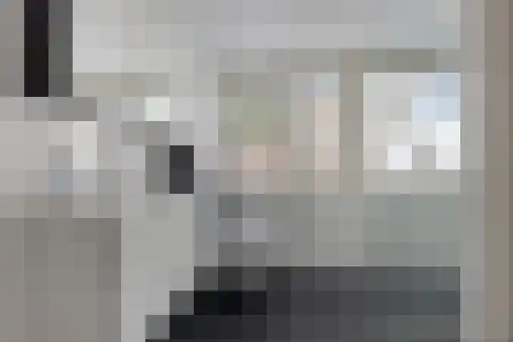 Schaapstreek 1 B Ees thumbnail 29