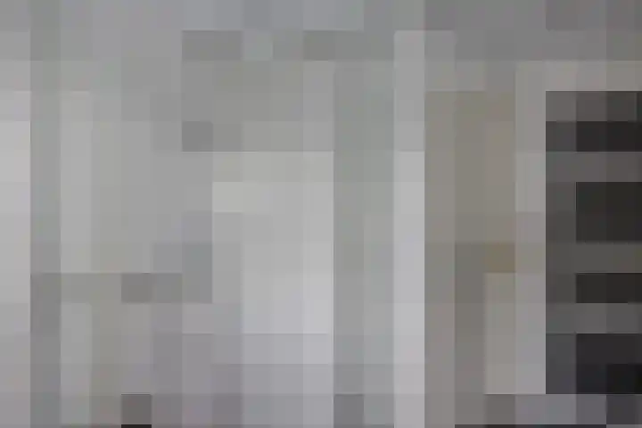 Schaapstreek 1 B Ees thumbnail 31