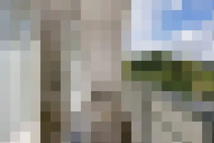 Schaapstreek 1 B Ees thumbnail 34