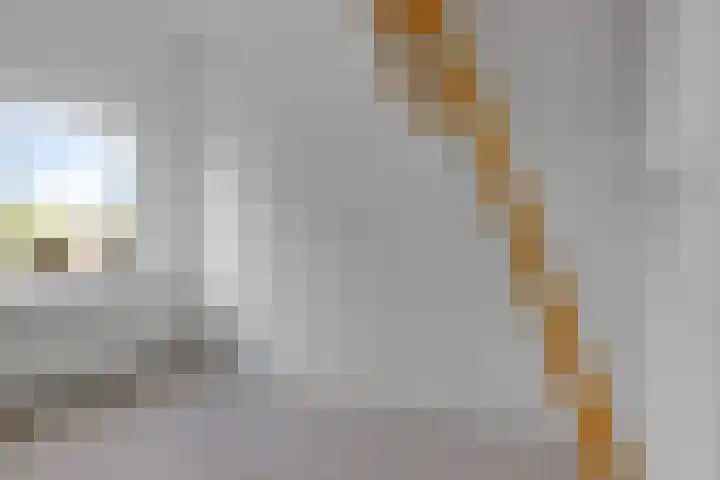Schaapstreek 1 B Ees thumbnail 38