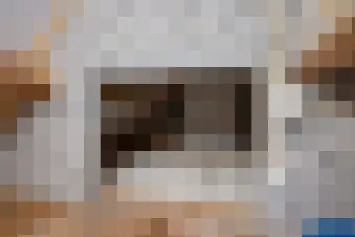Schaapstreek 1 B Ees thumbnail 39