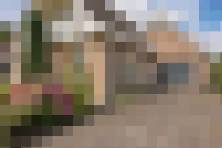 Schaapstreek 1 B Ees thumbnail 4