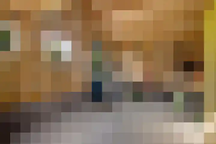 Schaapstreek 1 B Ees thumbnail 41