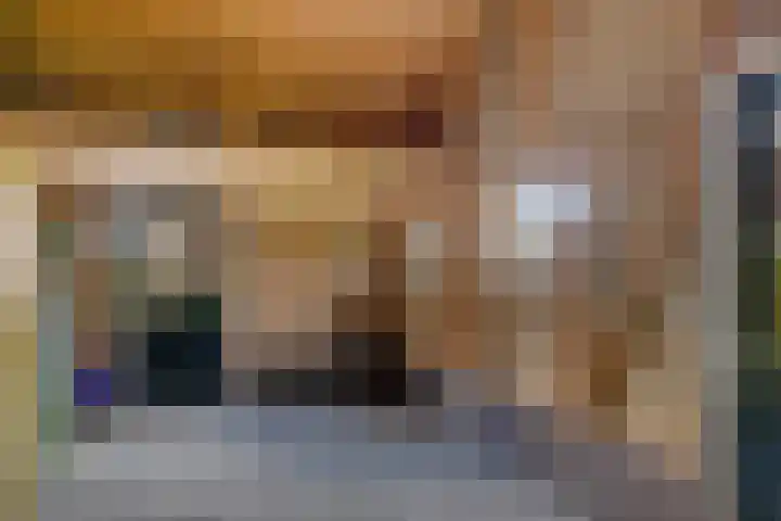 Schaapstreek 1 B Ees thumbnail 42