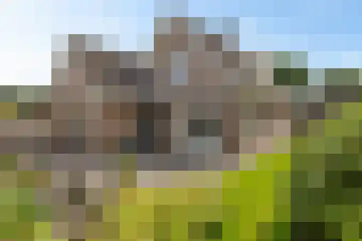 Schaapstreek 1 B Ees thumbnail 43