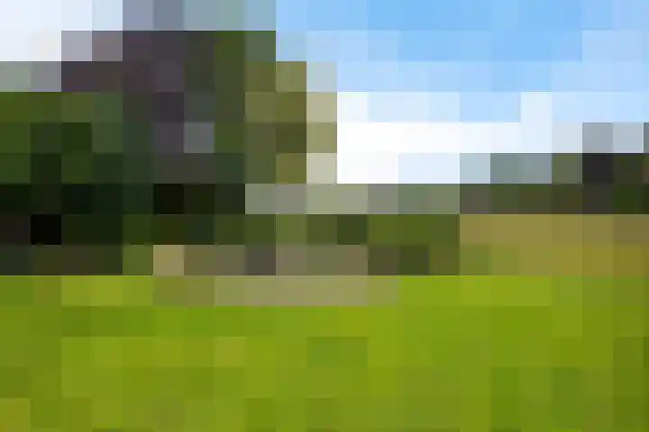 Schaapstreek 1 B Ees thumbnail 44