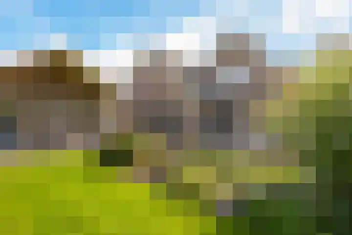 Schaapstreek 1 B Ees thumbnail 45