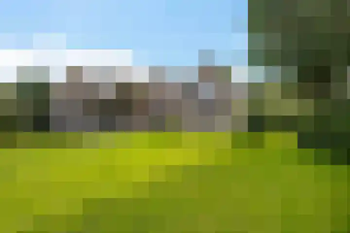 Schaapstreek 1 B Ees thumbnail 46