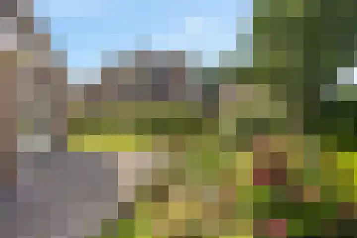 Schaapstreek 1 B Ees thumbnail 47
