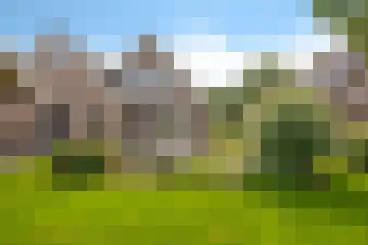 Schaapstreek 1 B Ees thumbnail 49