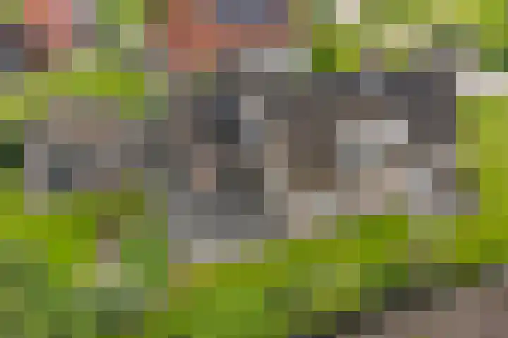 Schaapstreek 1 B Ees thumbnail 52