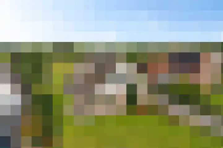Schaapstreek 1 B Ees thumbnail 54