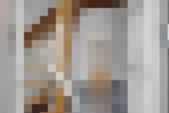 Schaapstreek 1 B Ees thumbnail 6