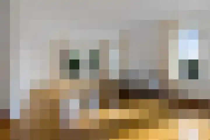 Schaapstreek 1 B Ees thumbnail 9