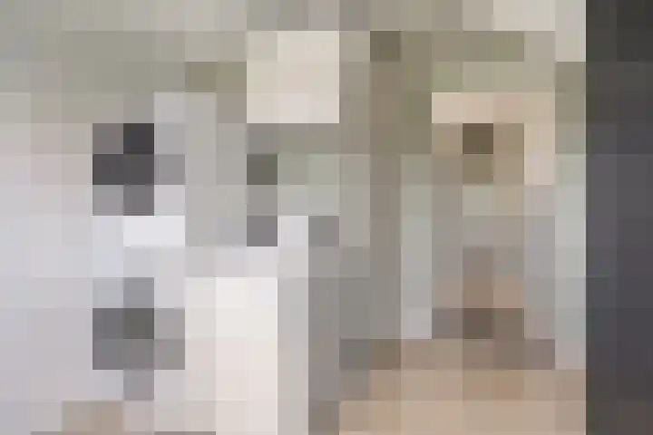 Schaapstreek 1 Ees thumbnail 13