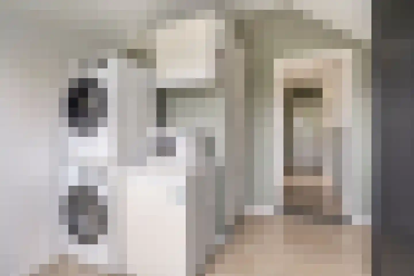 Schaapstreek 1 Ees thumbnail 13